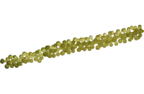 Moai Caviar (Zeedruif) 35gr
